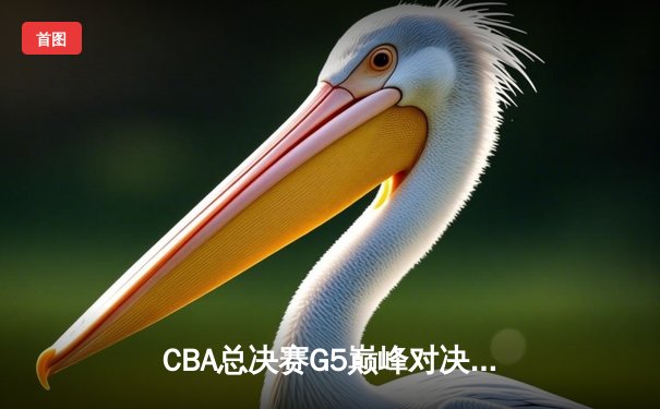 CBA总决赛G5巅峰对决：辽宁本钢加时险胜广东宏远，成功卫冕总冠军